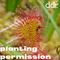 planting permission august 2022 - wordly tunes