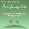 Steve Optix - Sounds of Amkucha Volume Ten
