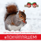 Red Nuts - #Пох**пляшем (For The Prodigy Mixtape)