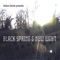 Isidore Genois Presents Black Spring & New Light