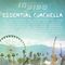 in vivo 008: Essential Coachella 2013