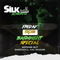 DJ SILK LIVE ON TWITCH 14.01.22 (DANCEHALL SPECIAL)