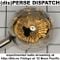 (dis)PERSE Dispatch Episode #55