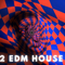Tech House, EDM, Bass House - Heavy House Mix 02