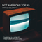Not American Top 40 #032 - Hear No Evil: A Tribute to Tom Verlaine