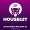 Deep House Cat Show - Javan Rhino Mix (Part II) - feat. Kiyo To [HQ]