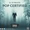 DJ Skywalker - Pop Certified