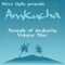Steve Optix - Sounds of Amkucha Volume Nine