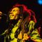 Bob Marley 75th anniversary showcase mix part II