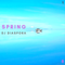 SPRING Mix ~ Dj Diaspora (OSIRIS8)
