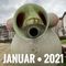 POPactually | januar 2021