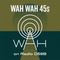 Wah Wah 45s Radio #17 with Dom Servini on Radio d59b