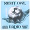 Night Owl Radio 357 ft. Marc E. Bassy and Markus Schulz