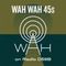 Wah Wah 45s Radio Show #13 with Dom Servini on Radio d59b