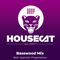 Deep House Cat Show - Basswood Mix - feat. Hypnotic Progressions