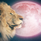 Follow Your Heart: Full Moon in Leo Ritual Mix