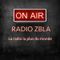 Radio Zbla Special Election, avec en invité Die Antwoord.