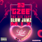 DJ GZEE Presents - THE SEX TAPE - SLOW JAMZ  - VALENTINES SPECIAL