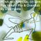 POVILNO SPECIAL 03 with Foa Hoka-Mix & Overdub by Dubmasta 07-03-2023