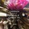 Cadenza Podcast | 267 - [ØNE+1] & Camilo Gil (Cycle)