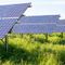 Sophy Fearnley Whittingstall Solar Farms