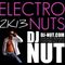 ELECTRO NUTS 2K13 MIXTAPE (DJ NUT REMIXES ONLY)