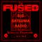 The Fused Wireless Programme - 23.12