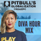 Javin - NOV 2020 Pitbull's Globalization mix 11.23.20 @djjavin