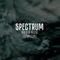 "Spectrum" by Mucho live @ 87bpm.com