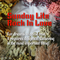 Sunday Lite Rock In Love (March 19, 2023)