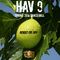 HAV 9 (Spring 2016 Dancehall) RAW