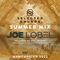 Selected Sounds - Summer mix - by Joe Lobel