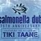 INDIGENOUS DUBS: Salmonella Dub 25th Anniversary Tour (Jan 2018)