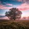 Morning Lights Vol. 6 By Solitary Refinement & Tomisan