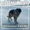 Riddem & Beats 102