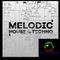 Toddy Tempo - Melodic' House & Techno - 06.02.23