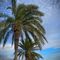 Michael e Mallorca Chilled March 13th Selection