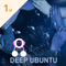 Deep Ubuntu