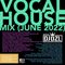 Vocal House Mix (June 2022)