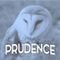 Hannah's Bookshelf Seven Virtues: Prudence - 14/01/2023