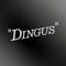 Dingus - 29 November 2022 (Episode 6: The Hollow Die)