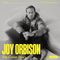 The Cover Story: Joy Orbison