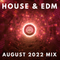 Tech House, EDM, Bass House - Heavy House Mix 03