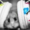 2013 WINTER DANCE MIX