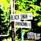 2022.10 Black Swan Lane / Unknown Road