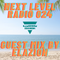 Next Level Radio 024 - Guest Mix By Elazion