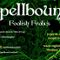 Spellbound - Foolish Frolics