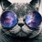 Tale of The Techno Cats - Part 9