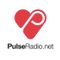 Neverdogs Pulse Radio Mix