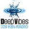 deepvibes_radio